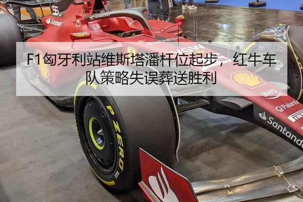 xiong-ya-li-zhan-wei-si-ta-pan-gan-wei-qi-bu-hong-niu-che-dui-ce-lve-shi-wu-zang-song-sheng-li-2-886.jpg