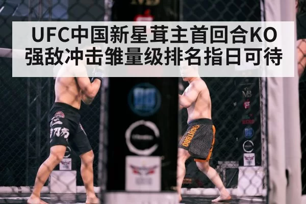 UFC中国新星茸主首回合KO强敌冲击雏量级排名指日可待